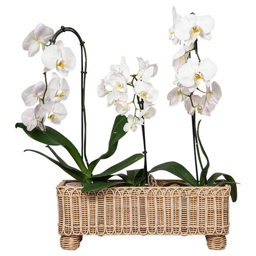 Provence Rattan Rectangular Planter, Whitewash 2 Provence Rattan Rectangular Planter, Whitewash