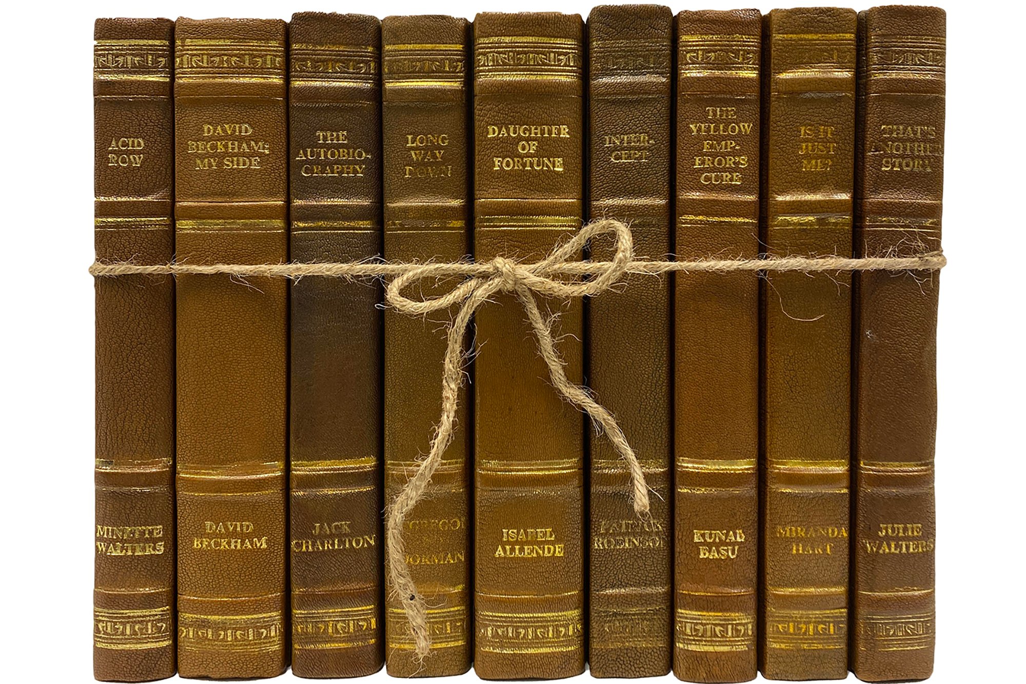 1-Foot Modern Book Bundle, Chesnut Leather 4 1-Foot Modern Book Bundle, Chesnut Leather