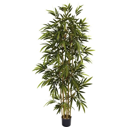 72"Bamboo Tree 1 72"Bamboo Tree