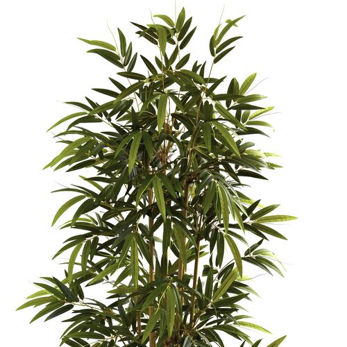 72"Bamboo Tree 2 72"Bamboo Tree
