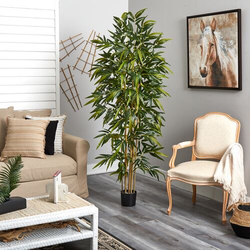 72"Bamboo Tree 4 72"Bamboo Tree