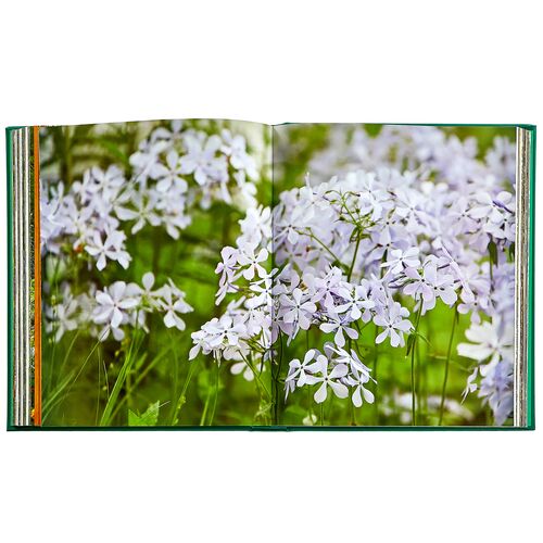 Bunny Williams Life in the Garden Leatherbound Book 6 Bunny Williams Life in the Garden Leatherbound Book