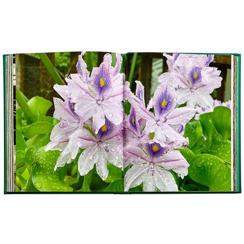 Bunny Williams Life in the Garden Leatherbound Book 8 Bunny Williams Life in the Garden Leatherbound Book
