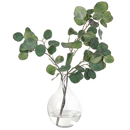 20" Silver Dollar Eucalyptus in Glass Vase, Faux 1 20" Silver Dollar Eucalyptus in Glass Vase, Faux