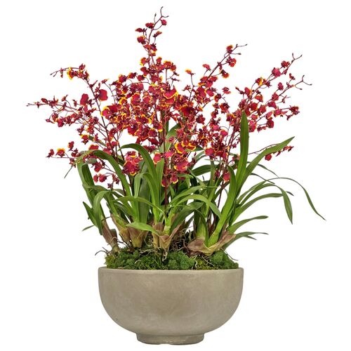 Faux Dancing Oncidium In Bowl, Green/Burgundy 1 Faux Dancing Oncidium In Bowl, Green/Burgundy