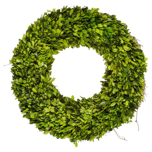 20" Boxwood Wreath, Preserved