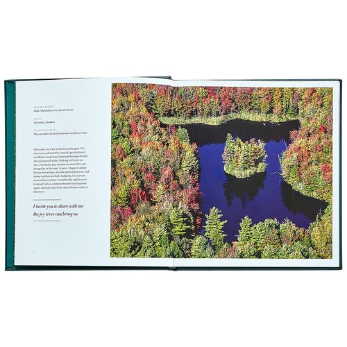 Hidden Life of Trees Leatherbound Book 3 Hidden Life of Trees Leatherbound Book