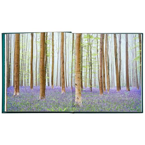 Hidden Life of Trees Leatherbound Book 4 Hidden Life of Trees Leatherbound Book