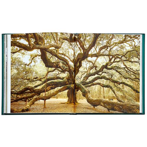 Hidden Life of Trees Leatherbound Book 8 Hidden Life of Trees Leatherbound Book