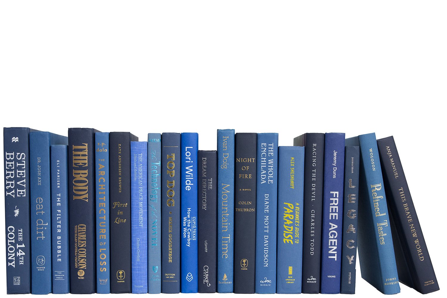 Modern Decorative Books by the Foot, Denim 1 Modern Decorative Books by the Foot, Denim