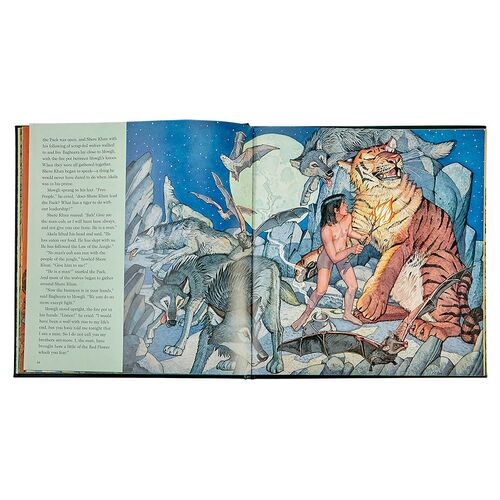 The Jungle Book Leather Edition Book 6 The Jungle Book Leather Edition Book