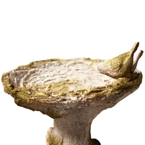 16" Nature's Small Birdbath, White Moss 2 16" Nature's Small Birdbath, White Moss