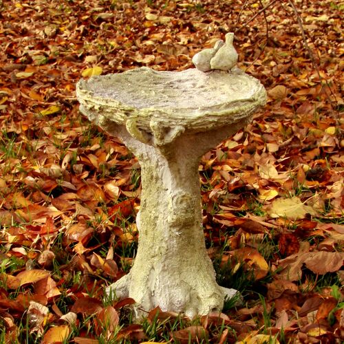 16" Nature's Small Birdbath, White Moss 3 16" Nature's Small Birdbath, White Moss