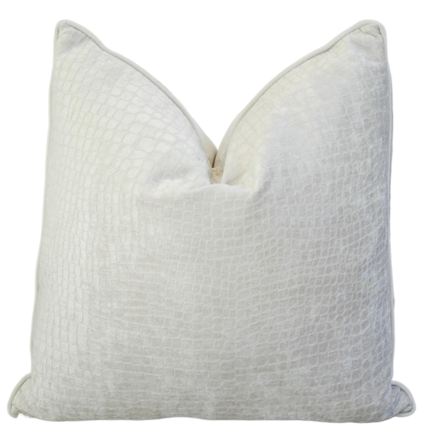 Alligator Crocodile Velvet Pillow 2 Alligator Crocodile Velvet Pillow