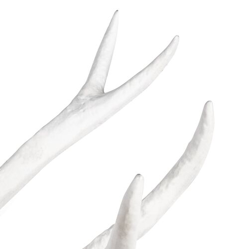 Antler Objet, Large 6 Antler Objet, Large