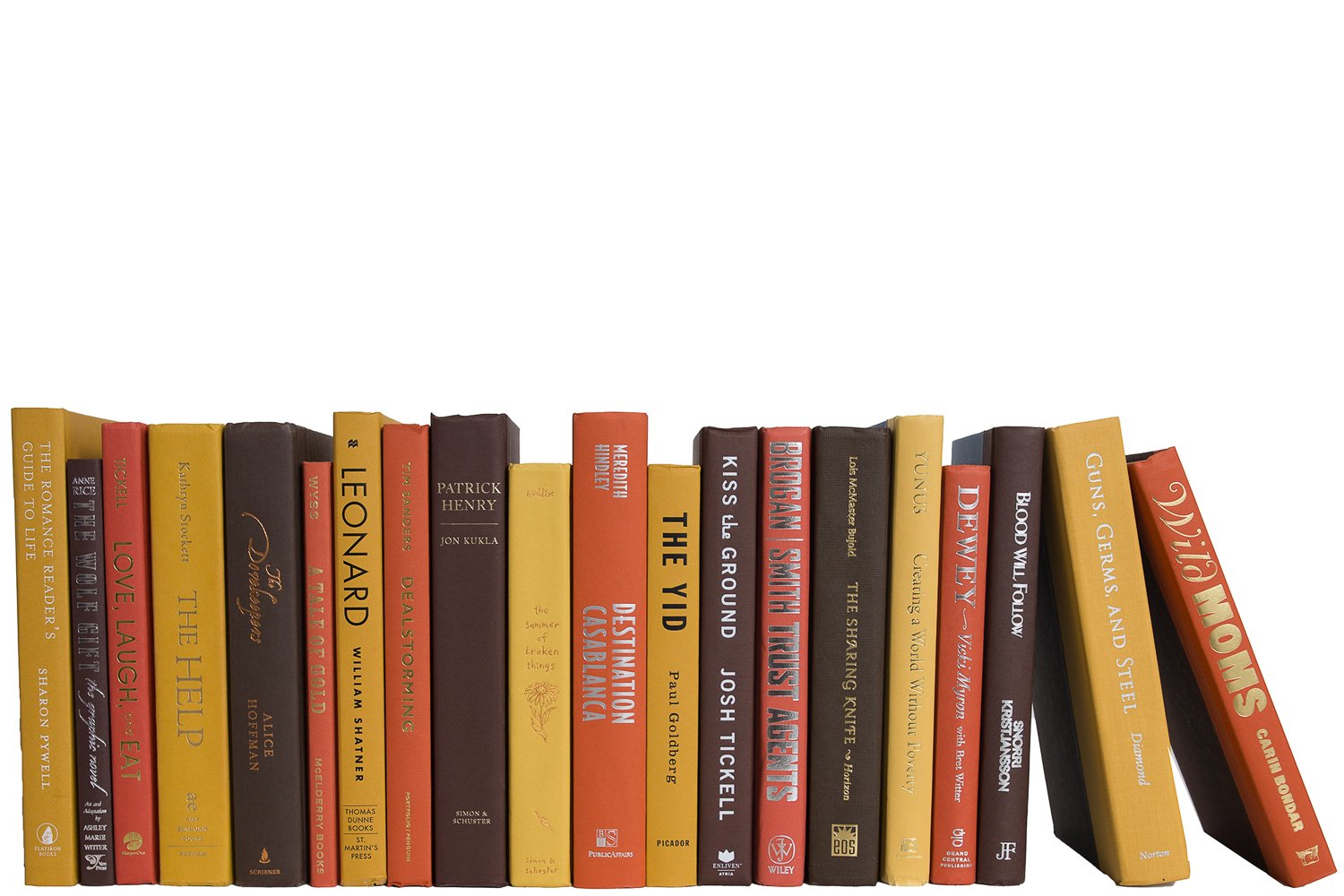 Modern Decorative Books by the Foot, Harvest 1 Modern Decorative Books by the Foot, Harvest