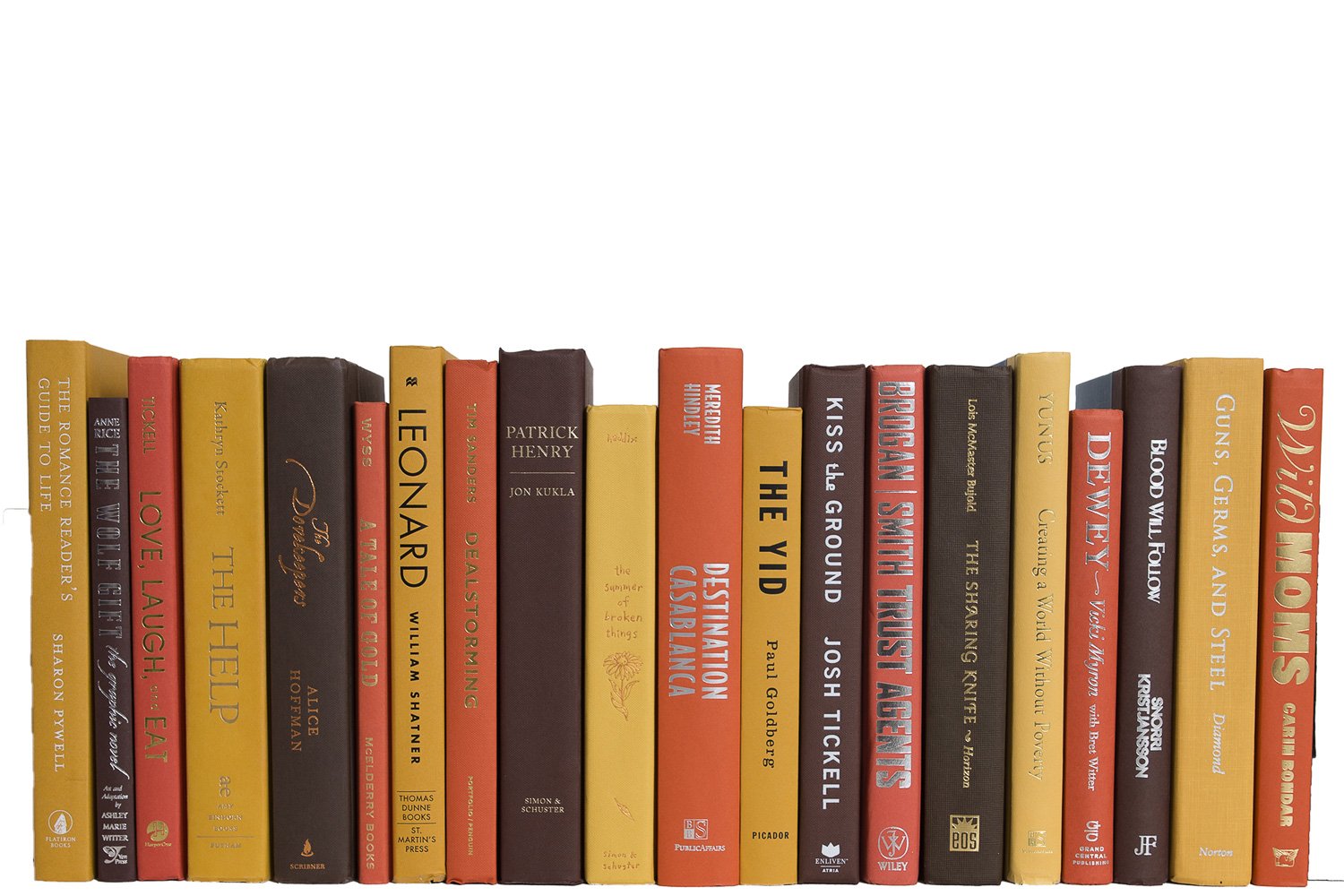 Modern Decorative Books by the Foot, Harvest 2 Modern Decorative Books by the Foot, Harvest