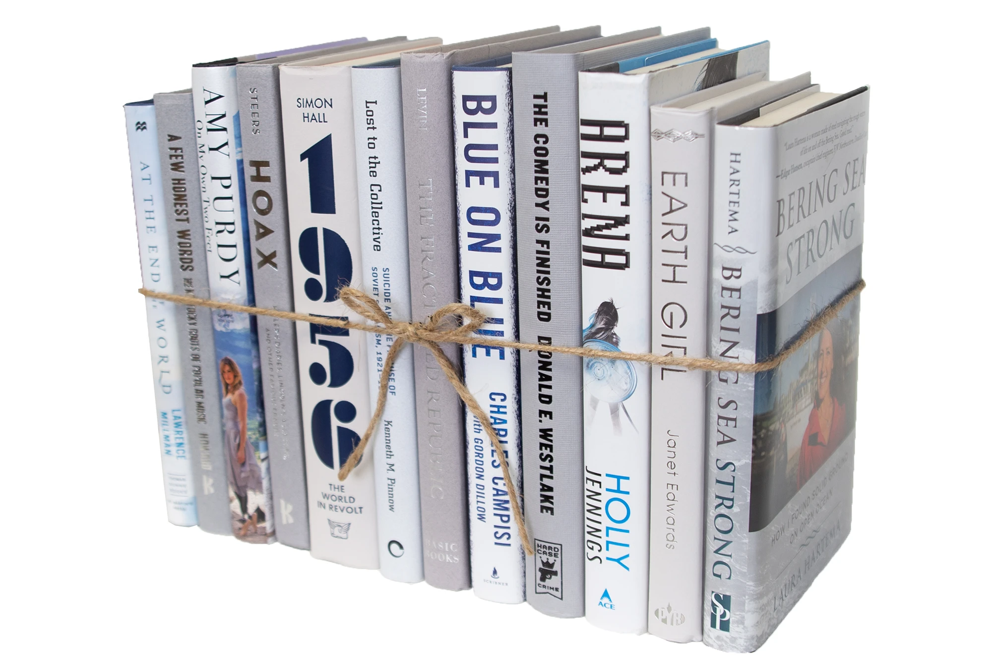 1-Foot Decorative Book Bundle, Blue Ice