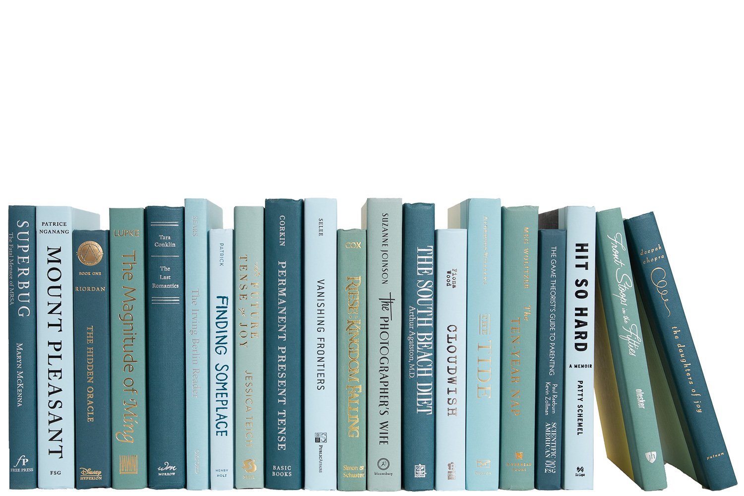 Modern Decorative Books by the Foot, Gulf Coast 1 Modern Decorative Books by the Foot, Gulf Coast