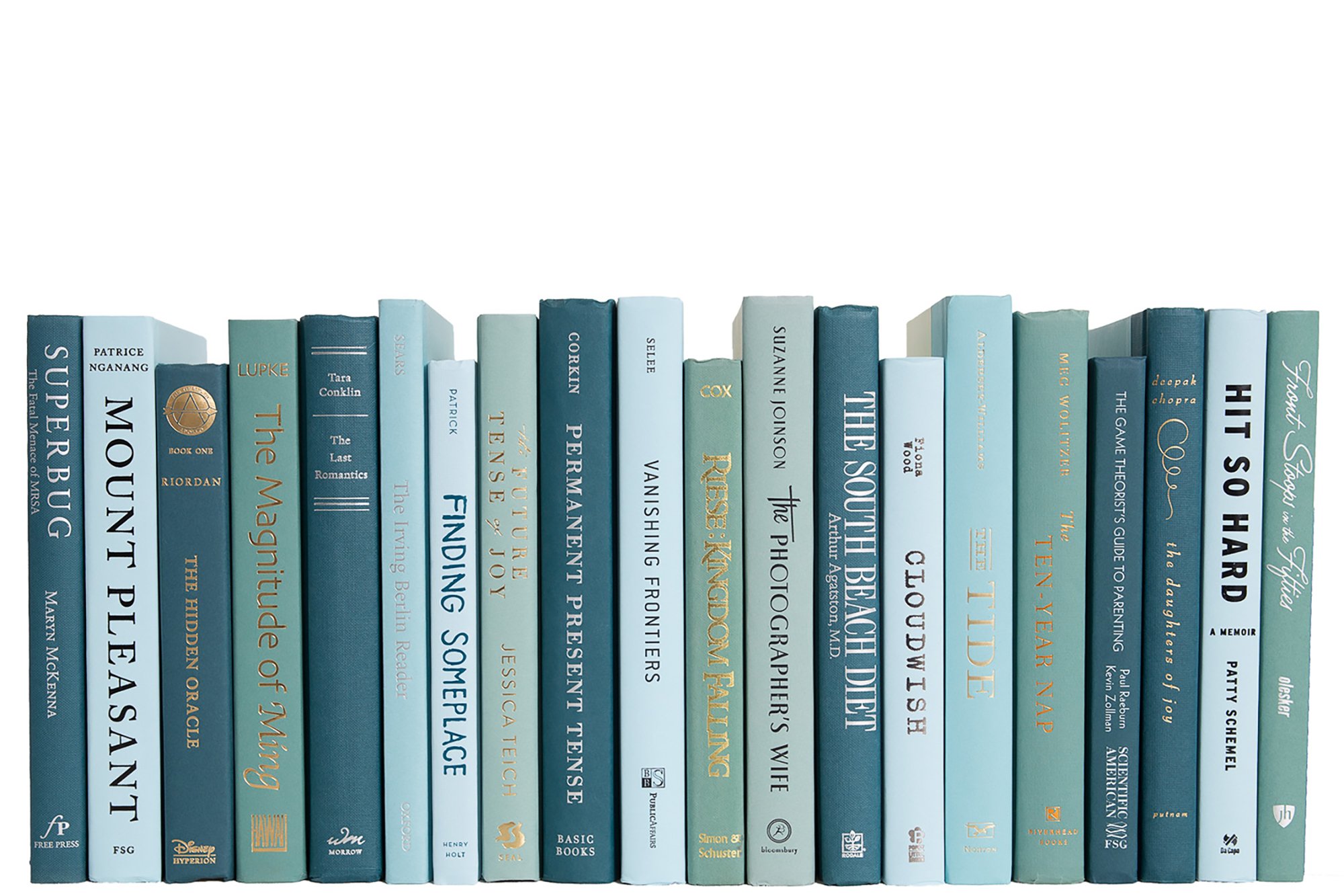 Modern Decorative Books by the Foot, Gulf Coast 2 Modern Decorative Books by the Foot, Gulf Coast