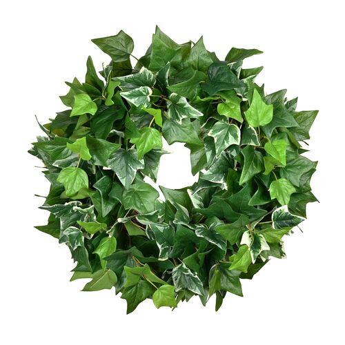 24" Ivy Wreath, Green 1 24" Ivy Wreath, Green