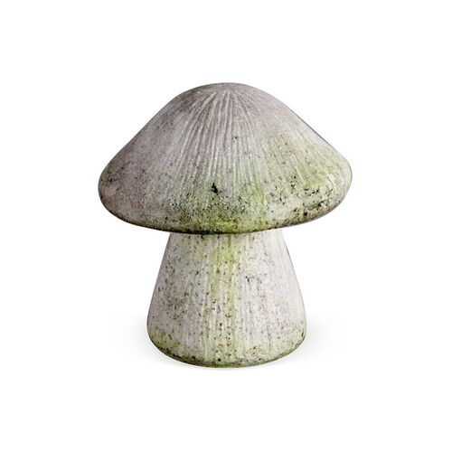 10" Wild Mushroom, White Moss 2 10" Wild Mushroom, White Moss