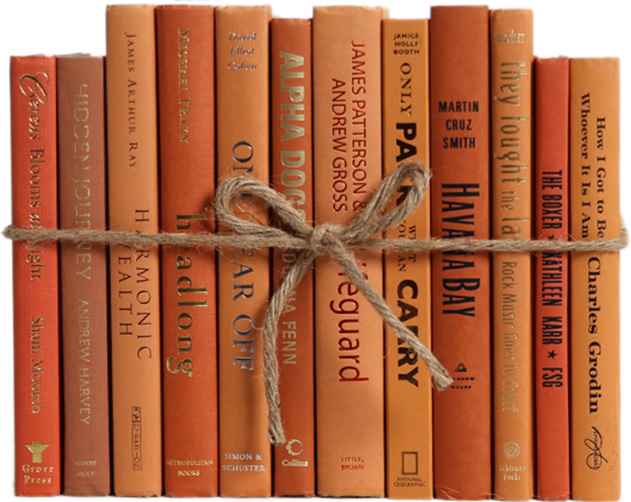 1-Foot Modern Book Bundle, Canyon