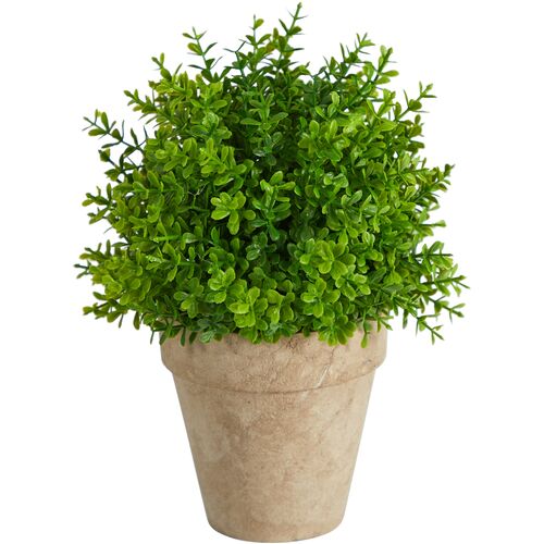 8" Faux Boxwood Plant 1 8" Faux Boxwood Plant