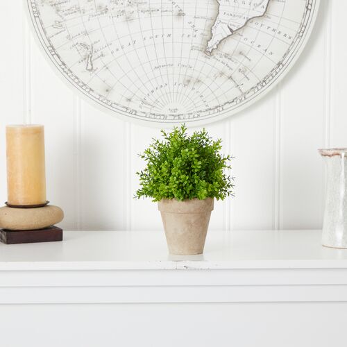 8" Faux Boxwood Plant 2 8" Faux Boxwood Plant