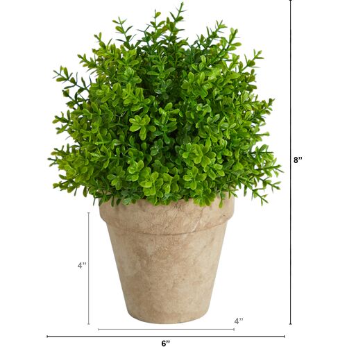 8" Faux Boxwood Plant 4 8" Faux Boxwood Plant