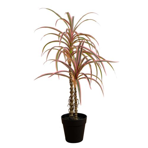 2ft. Artificial Dracaena Marginata Plant 1 2ft. Artificial Dracaena Marginata Plant