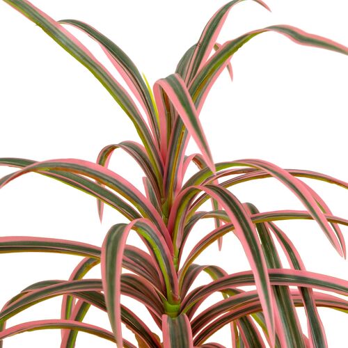 2ft. Artificial Dracaena Marginata Plant 3 2ft. Artificial Dracaena Marginata Plant