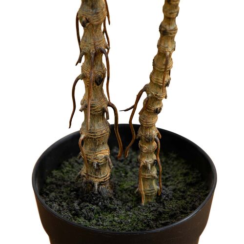 2ft. Artificial Dracaena Marginata Plant 4 2ft. Artificial Dracaena Marginata Plant