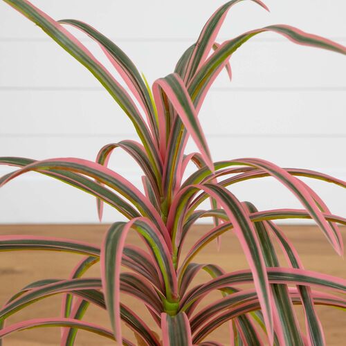 2ft. Artificial Dracaena Marginata Plant 6 2ft. Artificial Dracaena Marginata Plant