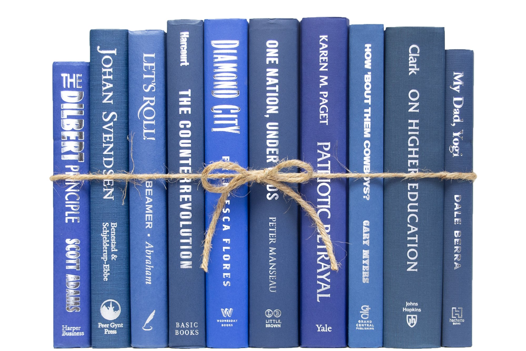 1-Foot Modern Book Bundle, Denim/Silver