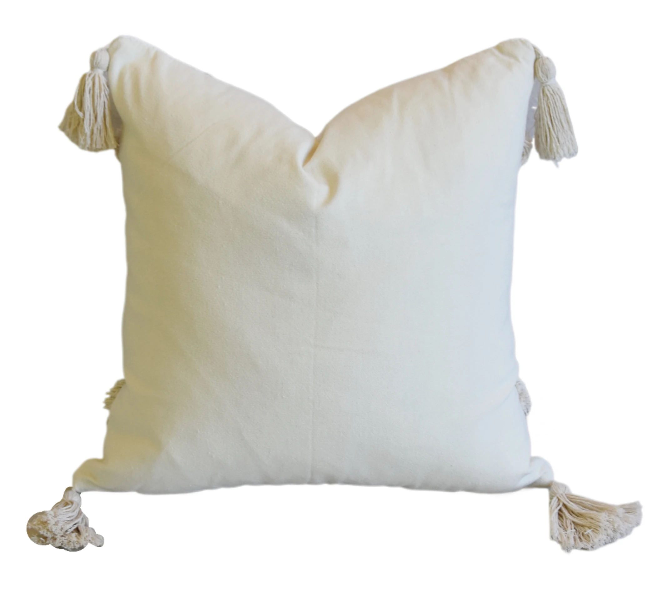 Nautical Beach Pool Tasseled Pillow 2 Nautical Beach Pool Tasseled Pillow