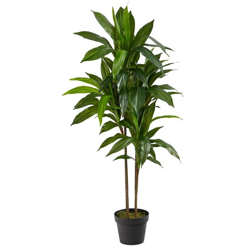 43" Faux Dracaena Tree 1 43" Faux Dracaena Tree