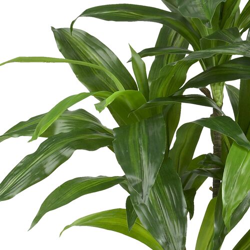 43" Faux Dracaena Tree 2 43" Faux Dracaena Tree