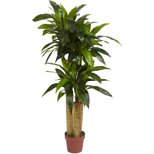 48" Faux Dracaena Tree 1 48" Faux Dracaena Tree
