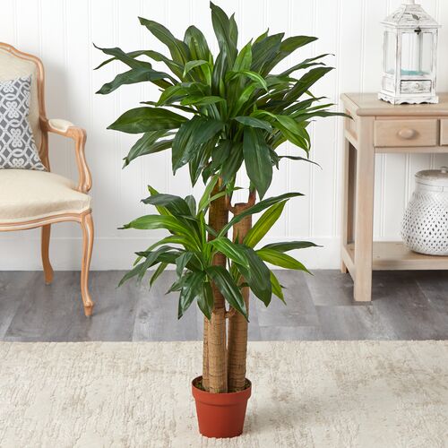 48" Faux Dracaena Tree 3 48" Faux Dracaena Tree