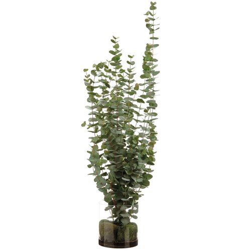 5' Eucalyptus in?Glass Vase, Faux 1 5' Eucalyptus in?Glass Vase, Faux
