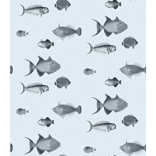 School's Out Wallpaper 1 School's Out Wallpaper