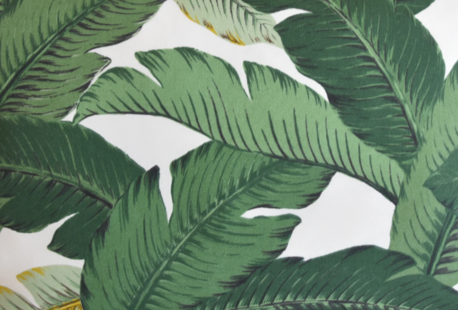 Tropical Iconic Banana Leaf Pillow 5 Tropical Iconic Banana Leaf Pillow