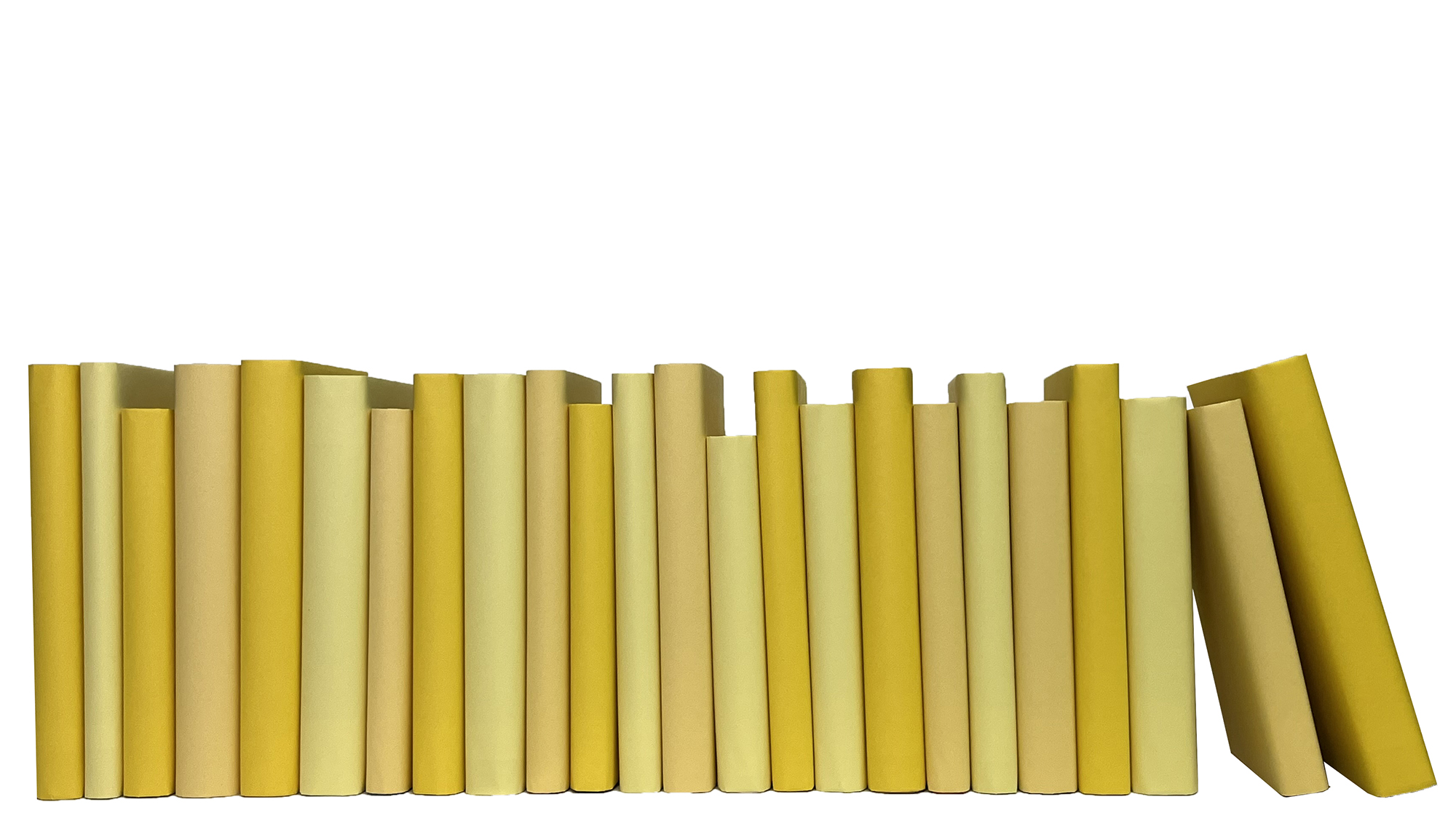 Paper Wrapped Decorative Books by the Foot, Daffodil 1 Paper Wrapped Decorative Books by the Foot, Daffodil