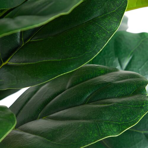 6ft. Artificial Fiddle Leaf Tree in Decorative White Planter 3 6ft. Artificial Fiddle Leaf Tree in Decorative White Planter