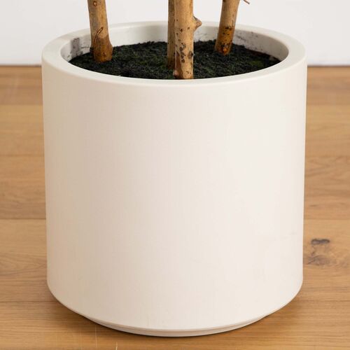 6ft. Artificial Fiddle Leaf Tree in Decorative White Planter 6 6ft. Artificial Fiddle Leaf Tree in Decorative White Planter