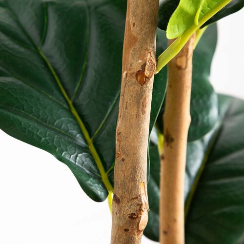 6ft. Artificial Fiddle Leaf Tree in Decorative White Planter 7 6ft. Artificial Fiddle Leaf Tree in Decorative White Planter