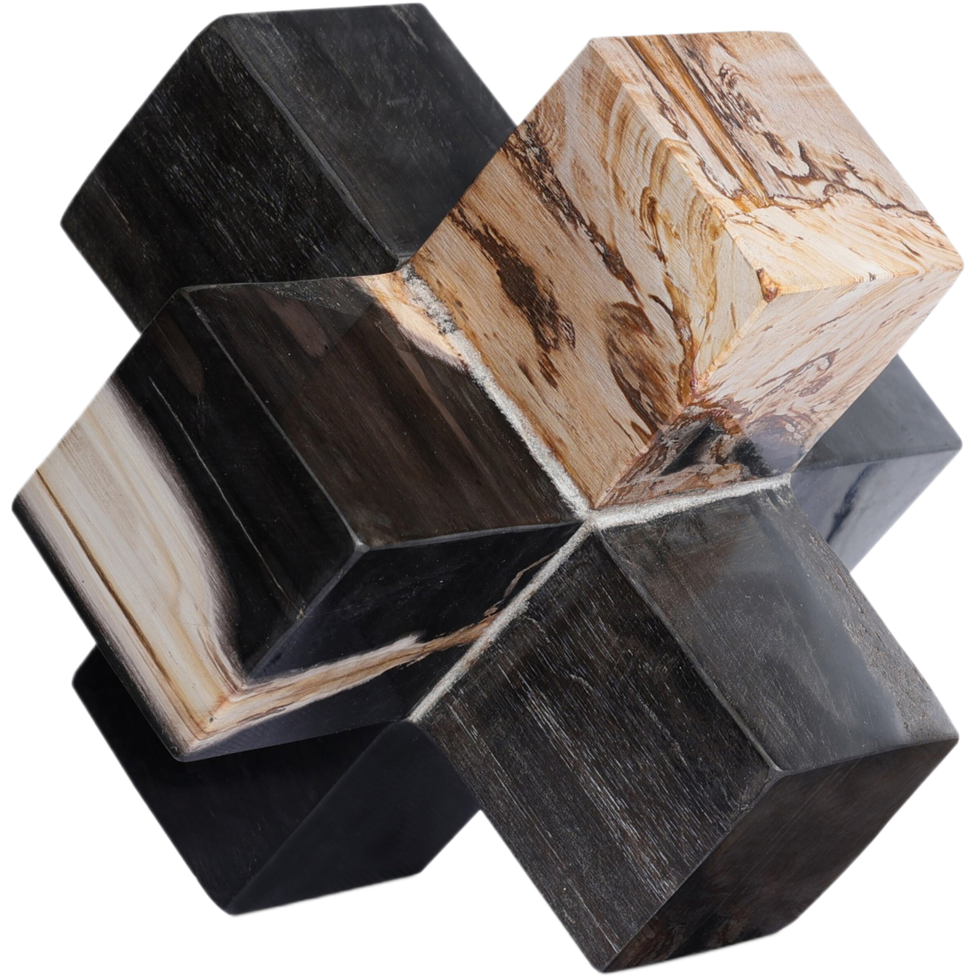 Kivo Petrified Wood Jack 1 Kivo Petrified Wood Jack
