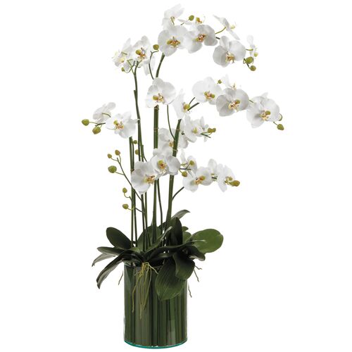 44" Orchids in?Soil Glass Vase, Faux 1 44" Orchids in?Soil Glass Vase, Faux