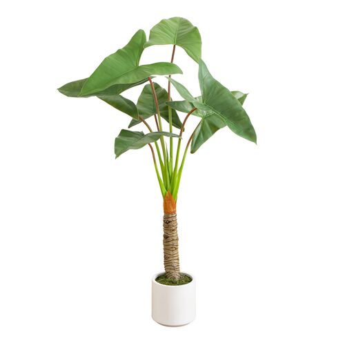 Faux Arrowhead Philodendron in White Decorative Planter 1 Faux Arrowhead Philodendron in White Decorative Planter
